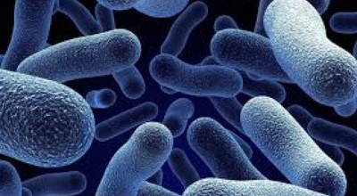 Ayağınızda Meydana Gelebilecek Bakteriyel Enfeksiyonlar Ayağınızda Meydana Gelebilecek Bakteriyel Enfeksiyonlar