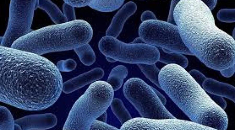 Ayağınızda Meydana Gelebilecek Bakteriyel Enfeksiyonlar